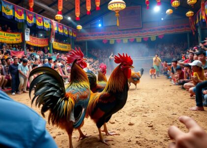 Situs Sabung Ayam Terpercaya – Taruhan Aman